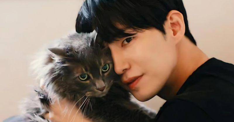 Instagram.com/cannes_pic